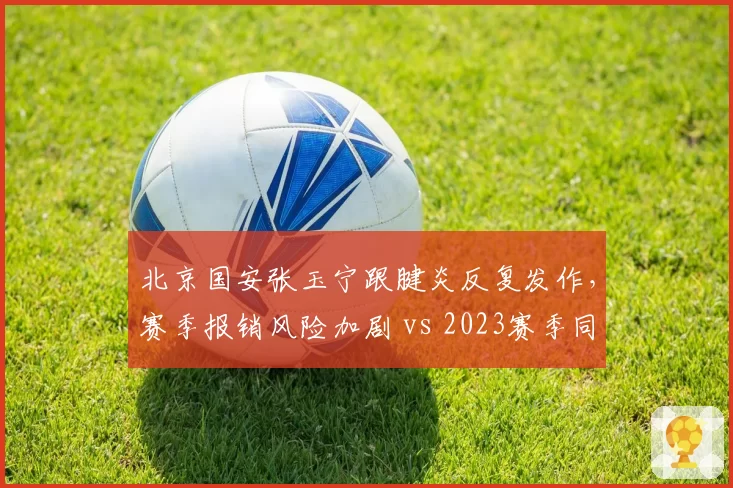北京国安张玉宁跟腱炎反复发作,赛季报销风险加剧 vs 2023赛季同期已攻入12球
